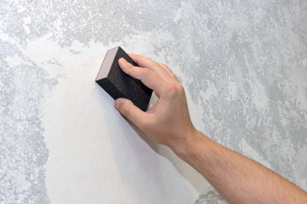 Best Post-Construction Mold Inspection  in Atlantic, IA