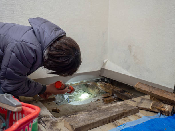 Best Mold Remediation for Vacation Homes  in Atlantic, IA