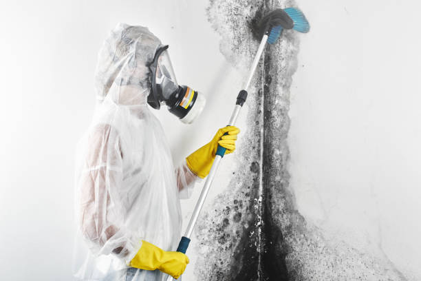 Best Mold Odor Removal Services  in Atlantic, IA