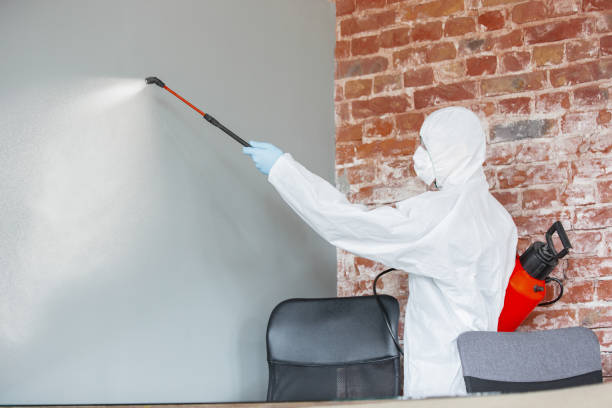 Best Mold Odor Removal Services  in Atlantic, IA
