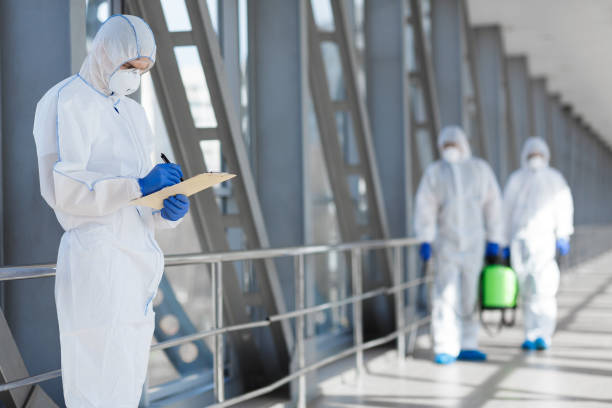 Professional Mold Removal in Atlantic, IA