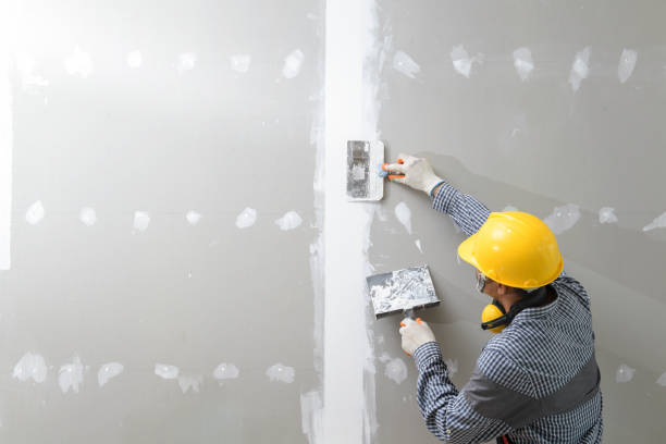 Best Mold Remediation for Healthcare Facilities  in Atlantic, IA