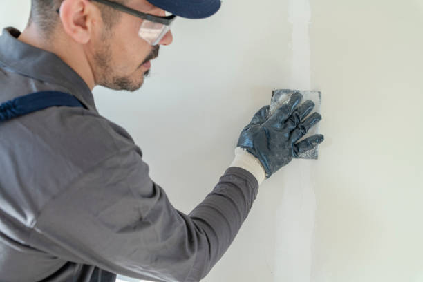 Best Post-Construction Mold Inspection  in Atlantic, IA