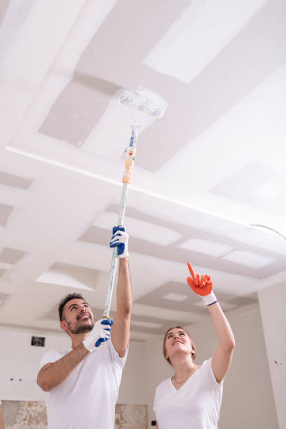 Best Industrial Mold Remediation  in Atlantic, IA