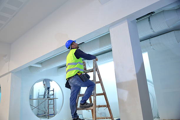 Best Mold Remediation for Vacation Homes  in Atlantic, IA